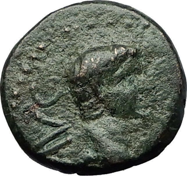 AUGUSTUS 27BC Philippi Macedonia PRIESTS Founding City Oxen Roman Coin i59244