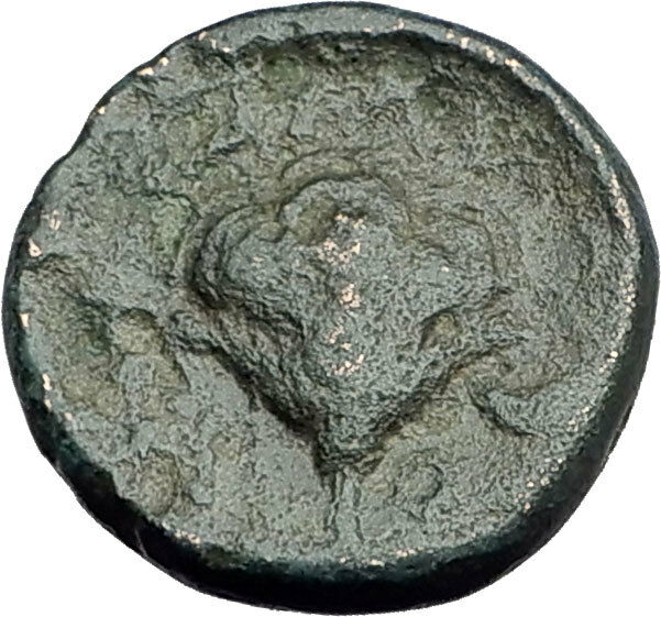 TRAGILOS in MACEDONIA 400BC Hermes Rose Authentic Ancient Greek Coin i62873