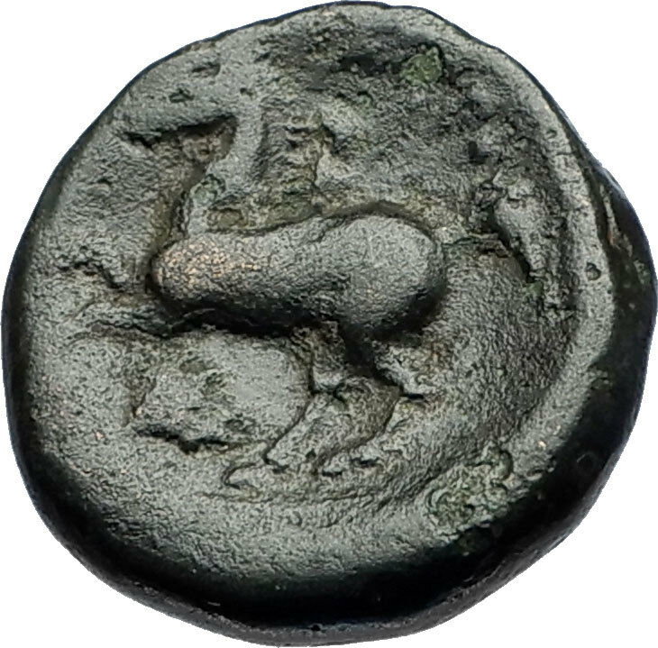 Philip II 359BC Olympic Games HORSE Race WIN Macedonia Ancient Greek Coin i69773