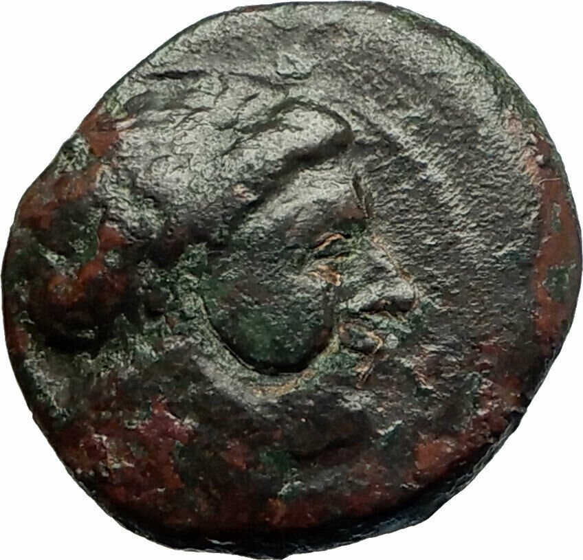 AKRAGAS in Sicily 279BC Authentic Ancient Greek Coin Apollo EAGLE i76835