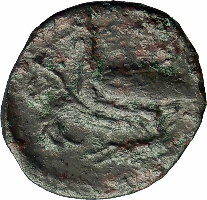 AKRAGAS in Sicily 279BC Authentic Ancient Greek Coin Apollo EAGLE i76835