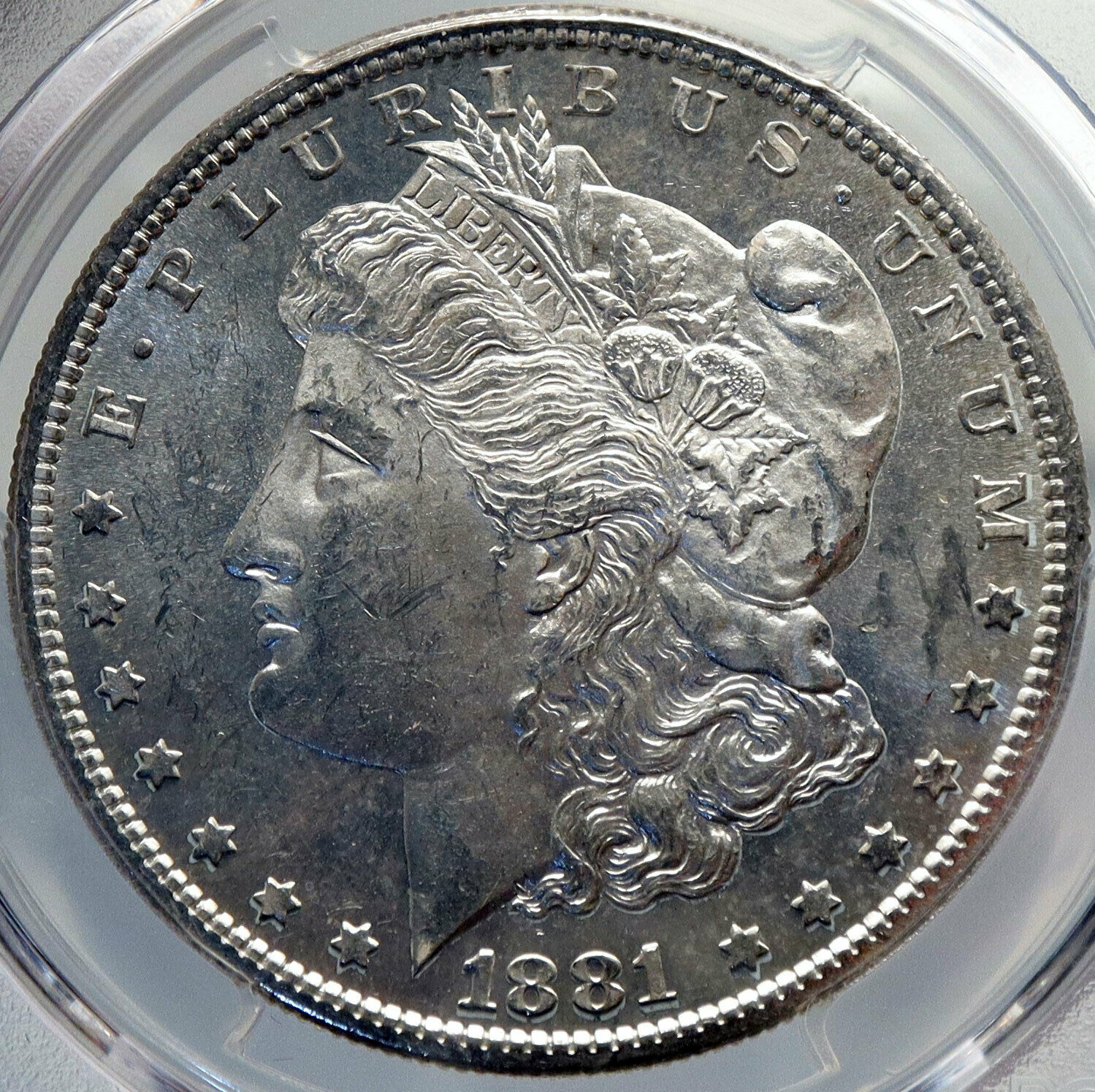 1881 UNITED STATES of America SILVER Morgan US Dollar Coin EAGLE NGC MS i82704