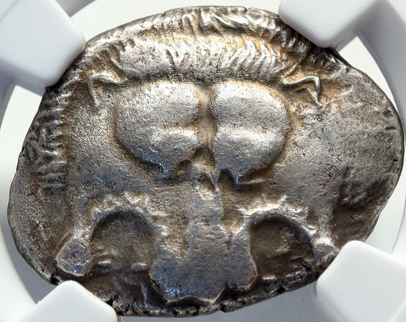 MITHRAPATA Dynast of Lycia Authentic Ancient 390BC Silver Greek Coin NGC i82709