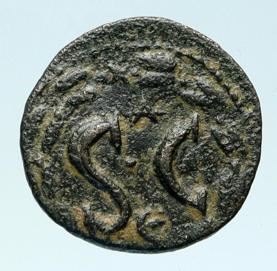 DIADUMENIAN Son of Macrinus Ancient Antioch in Seleukis and Pieria SC i83038