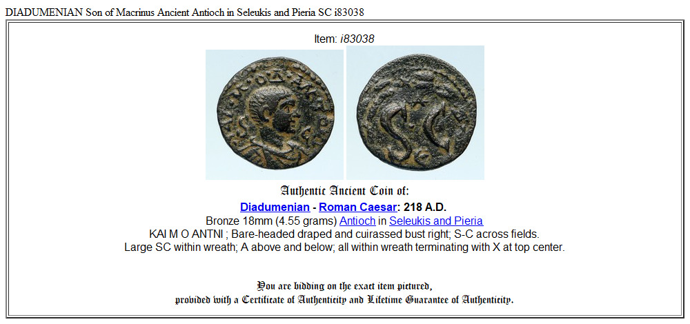 DIADUMENIAN Son of Macrinus Ancient Antioch in Seleukis and Pieria SC i83038