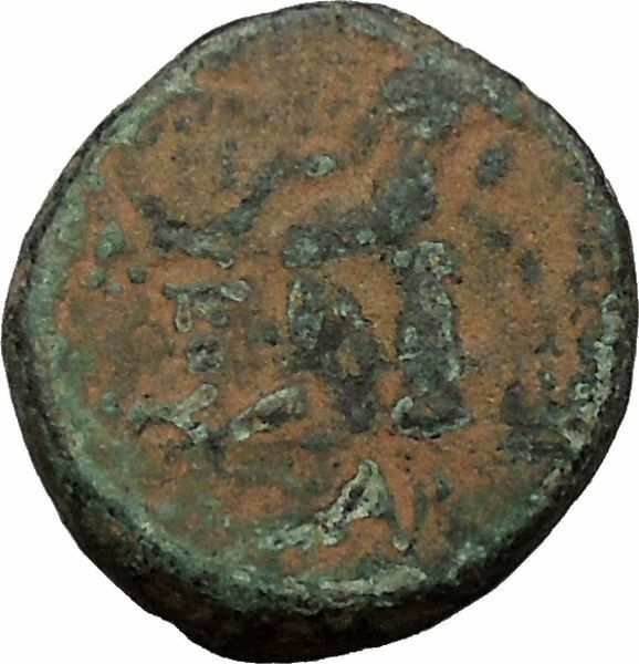 Seleucus III, Keraunos 226BC Artemis Apollo Authentic Ancient Greek Coin i32012