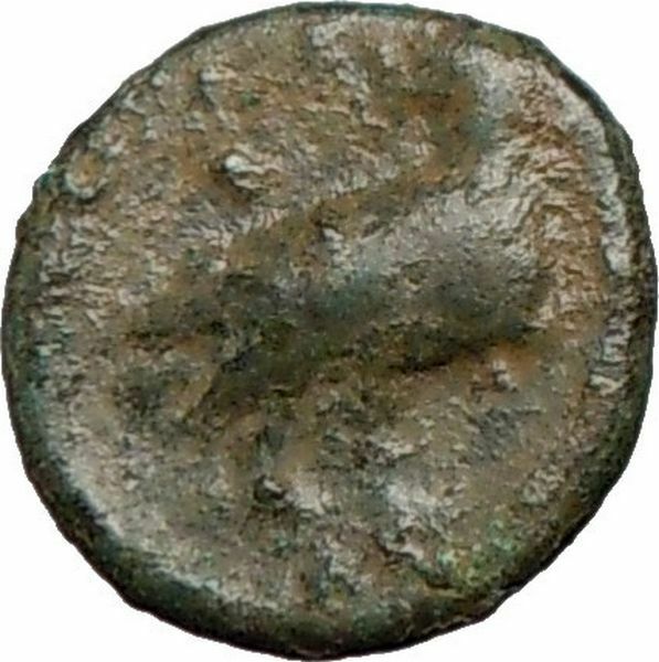 AKRAGAS SICILY under Tyrant Phintias Apollo & Eagle Ancient Greek Coin i25043