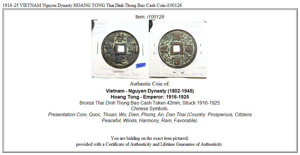 1916-25 VIETNAM Nguyen Dynasty HOANG TONG Thai Dinh Thong Bao Cash Coin i100126