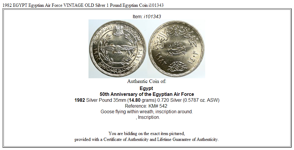 1982 EGYPT Egyptian Air Force VINTAGE OLD Silver 1 Pound Egyptian Coin i101343