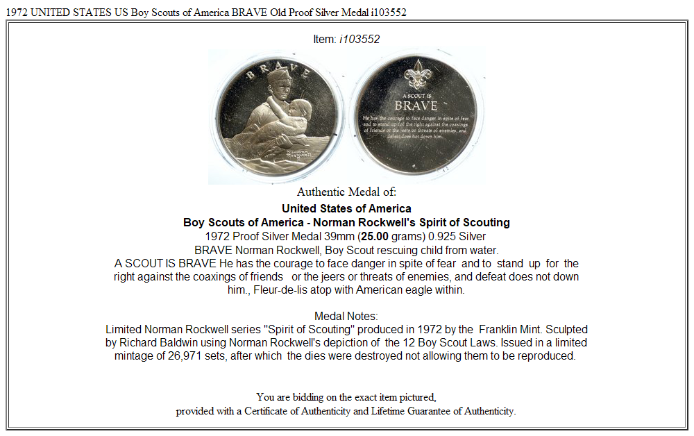 1972 UNITED STATES US Boy Scouts of America BRAVE Old Proof Silver Medal i103552