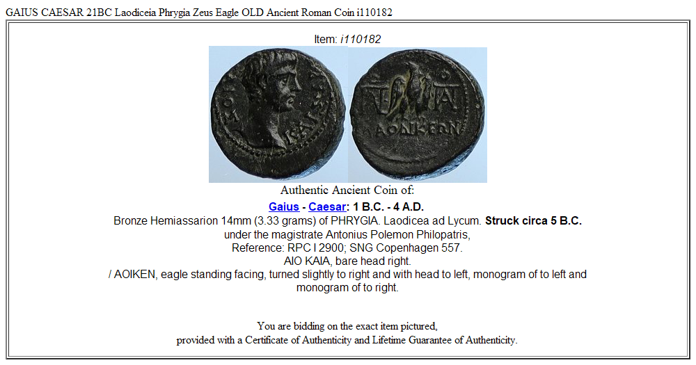 GAIUS CAESAR 21BC Laodiceia Phrygia Zeus Eagle OLD Ancient Roman Coin i110182