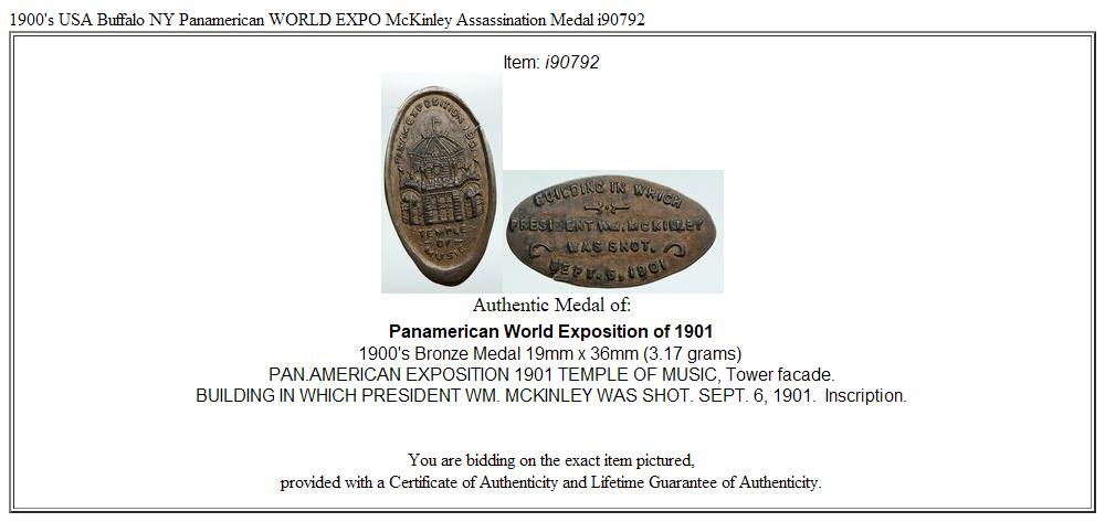 1900's USA Buffalo NY Panamerican WORLD EXPO McKinley Assassination Medal i90792