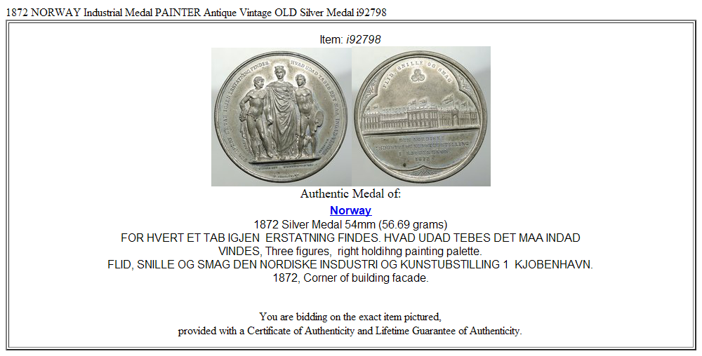 1872 NORWAY Industrial Medal PAINTER Antique Vintage OLD Silver Medal i92798