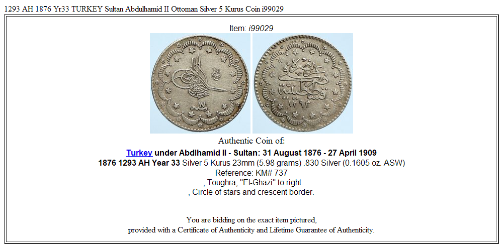 1293 AH 1876 Yr33 TURKEY Sultan Abdulhamid II Ottoman Silver 5 Kurus Coin i99029