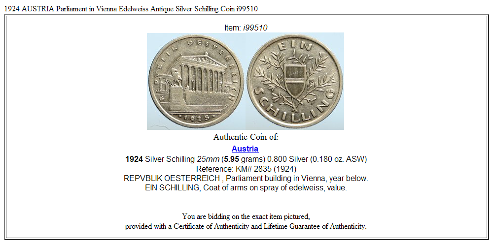 1924 AUSTRIA Parliament in Vienna Edelweiss Antique Silver Schilling Coin i99510