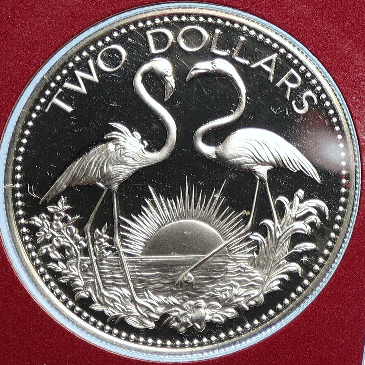 1976 The BAHAMAS Islands TWO FLAMINGOS Old Proof Silver 2 Dollar Coin i109930