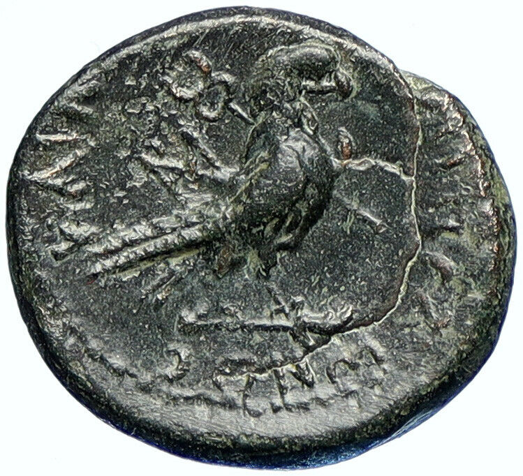 CLAUDIUS 41AD Amorium in Phrygia Authentic Ancient OLD Roman Coin EAGLE i107514