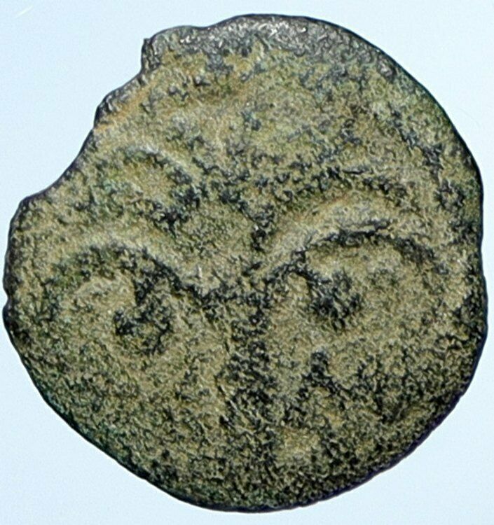 MARCUS AMBIBULUS Augustus Jerusalem Old BIBLICAL Roman Coin Hendin 1331 i107631