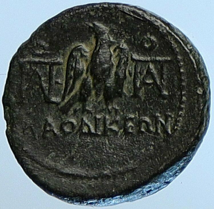 GAIUS CAESAR 21BC Laodiceia Phrygia Zeus Eagle OLD Ancient Roman Coin i110182