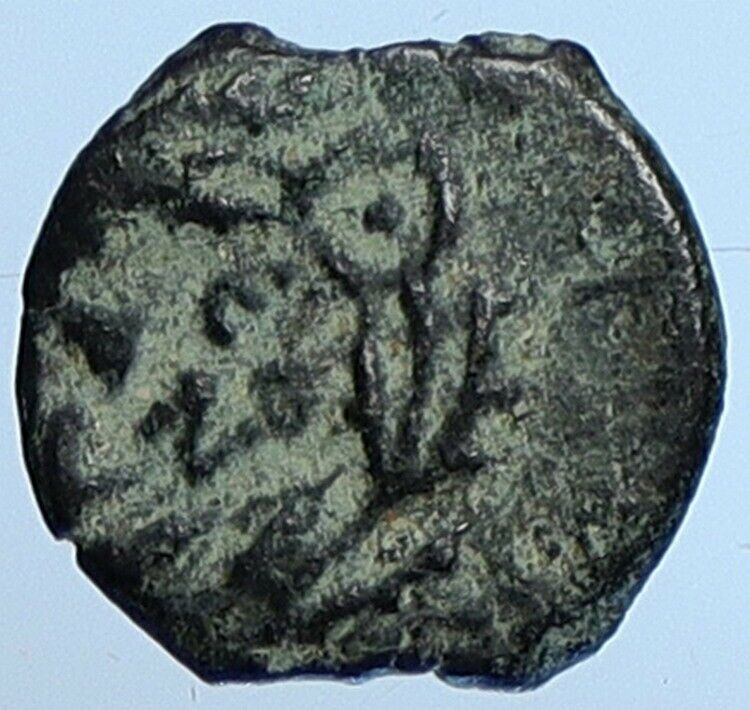 HEROD ARCHELAUS Jewish King Biblical Jerusalem Coin ANCHOR Hendin 1193 i110270