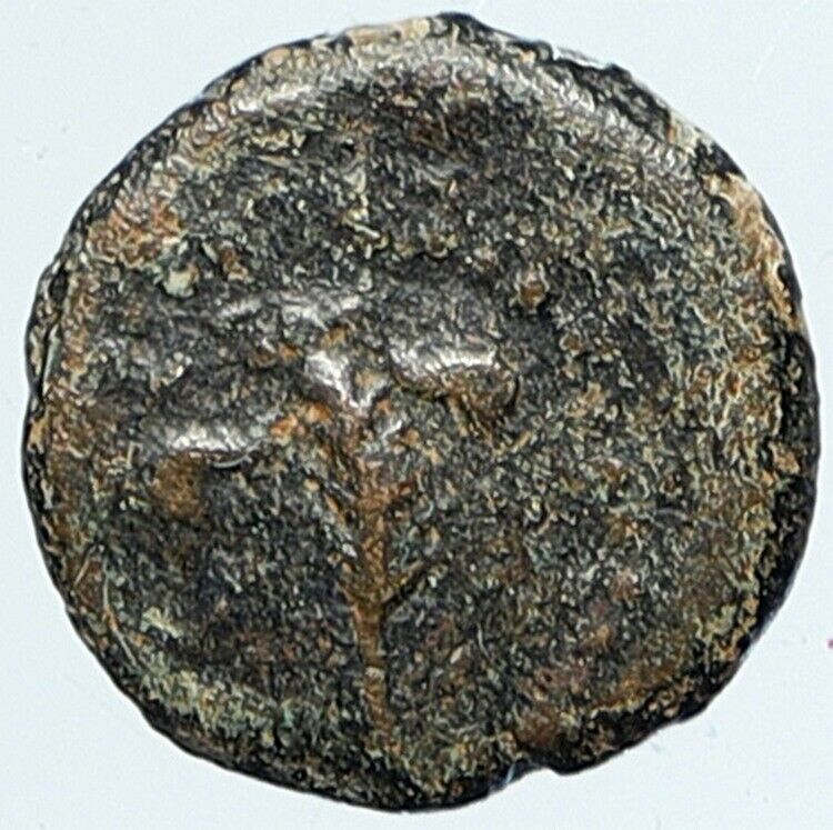 HEROD I the GREAT Jewish King Biblical Jerusalem Coin ANCHOR Hendin 1172 i108442