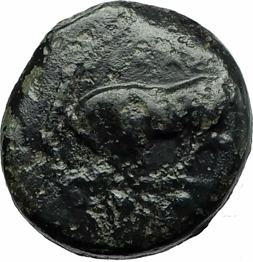 Gela in Sicily 420BC Trias Bull & River-god Gelas Ancient Greek Coin i75824