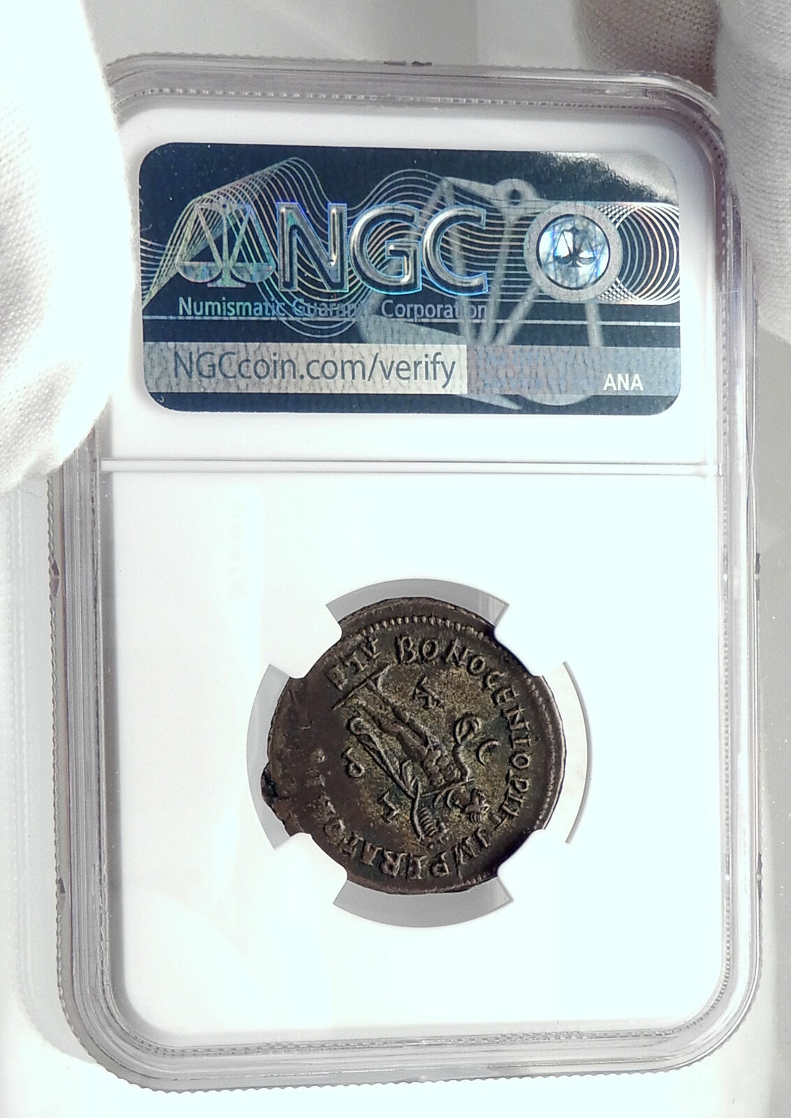 MAXIMINUS II Daia Authentic Ancient Alexandria Roman Coin w GENIUS NGC i80521