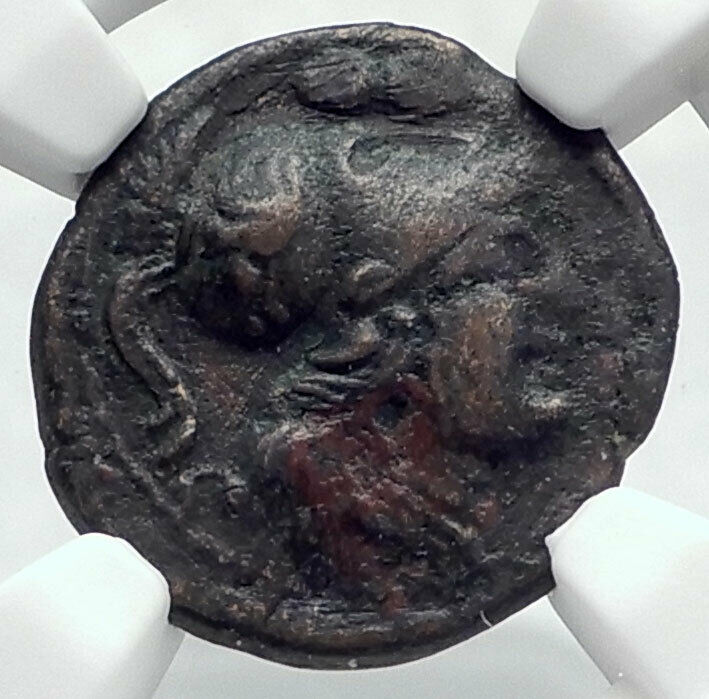 CAELIA in APULIA Very Rare 220BC Ancient Greek Coin w ATHENA TROPHY NGC i80648