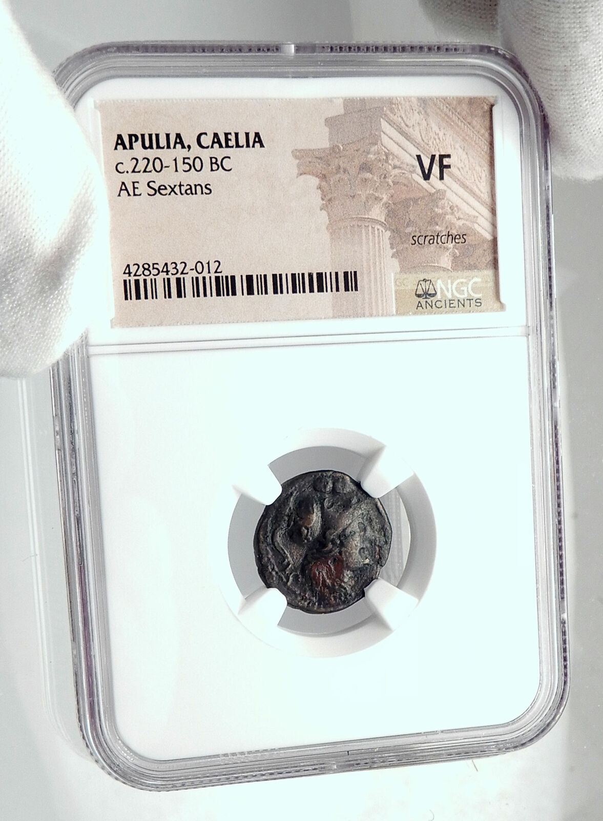 CAELIA in APULIA Very Rare 220BC Ancient Greek Coin w ATHENA TROPHY NGC i80648