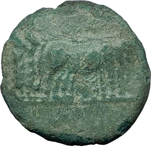 AUGUSTUS 27BC Philippi Macedonia PRIESTS Founding City Oxen Roman Coin i59281