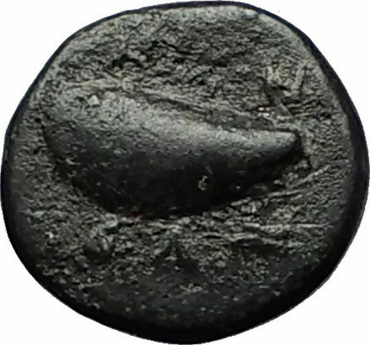 GRYNION or Gyrneion Aeolis 306BC Apollo Shell RARE Ancient Greek Coin i59321