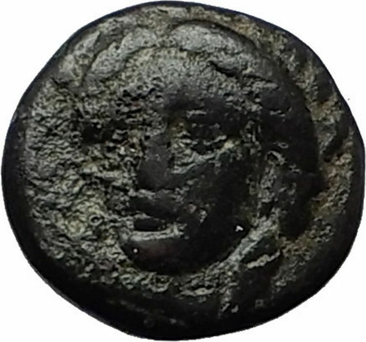 GRYNION or Gyrneion Aeolis 306BC Apollo Shell RARE Ancient Greek Coin i59321