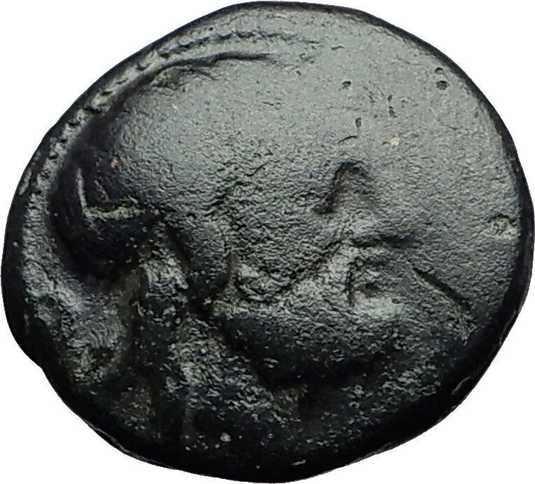 AMPHIPOLIS 168BC Authentic Ancient Greek Coin for MACEDONIA Poseidon Club i59748