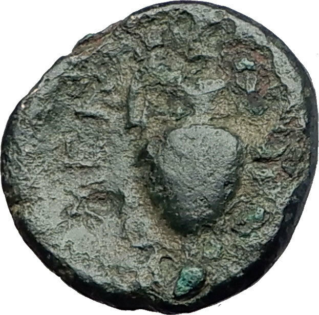 MENDE in MACEDONIA 405BC Authentic Ancient Greek Coin DIONYSUS KANTHAROS i61320