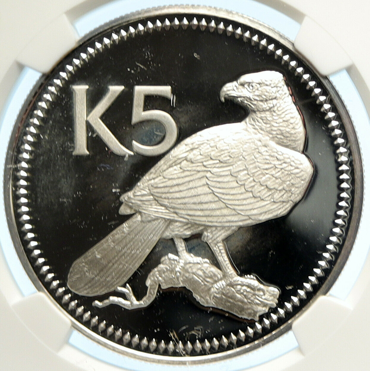 1977 PAPUA NEW GUINEA w PAPUAN Harpy EAGLE Proof Silver 5 Kina Coin NGC i99682