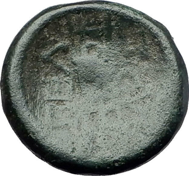 PELLA in Macedonia 1stCenBC Authentic Ancient Greek Coin APOLLO & TRIPOD i61402