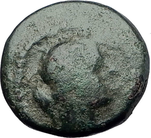 PELLA in Macedonia 1stCenBC Authentic Ancient Greek Coin APOLLO & TRIPOD i61402