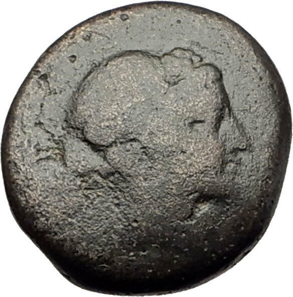 SARDES in LYDIA 133BC Authentic Ancient Greek Coin DIONYSUS and PANTHER i62313