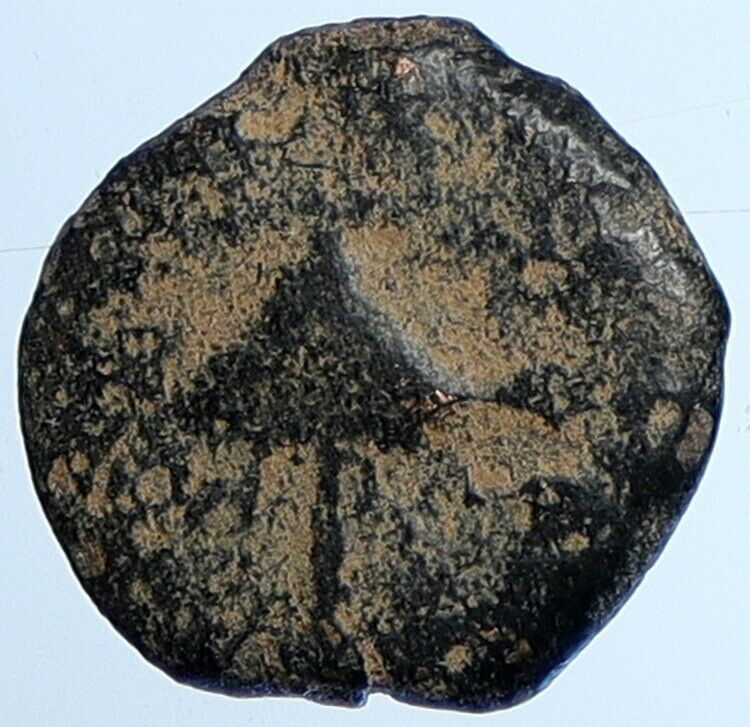 Herod AGRIPPA I JERUSALEM Biblical Claudius Time Greek Coin Hendin 1244 i110421