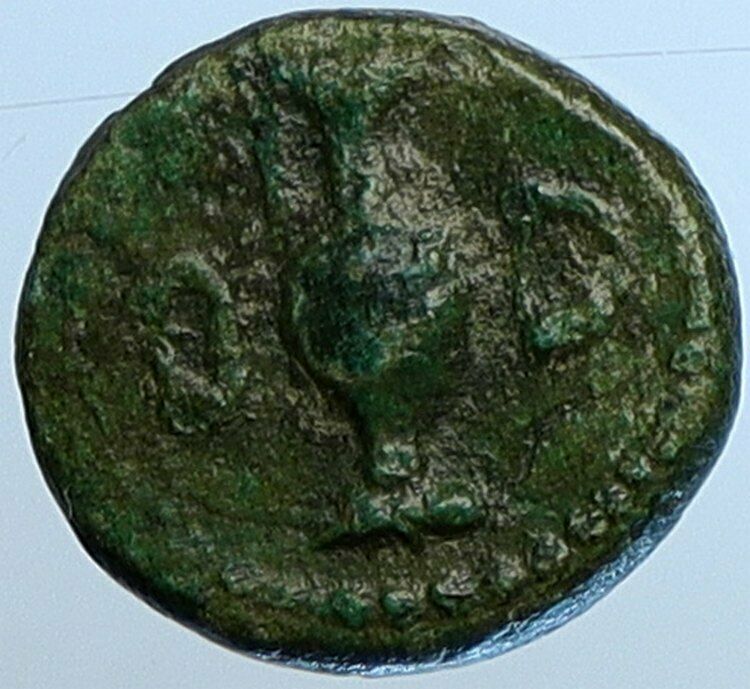 JULIUS CAESAR 45BC Very Rare PARIUM Mysia Ancient OLD Roman Coin VENUS i110213