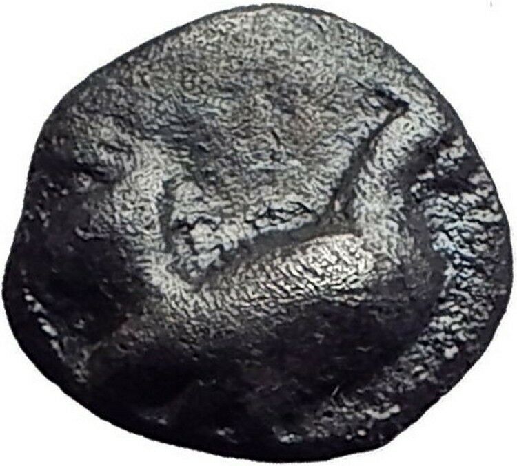 HIMERA SICILY 530BC Archaic RARE R1 Authentic Ancient Silver Greek Coin i63364