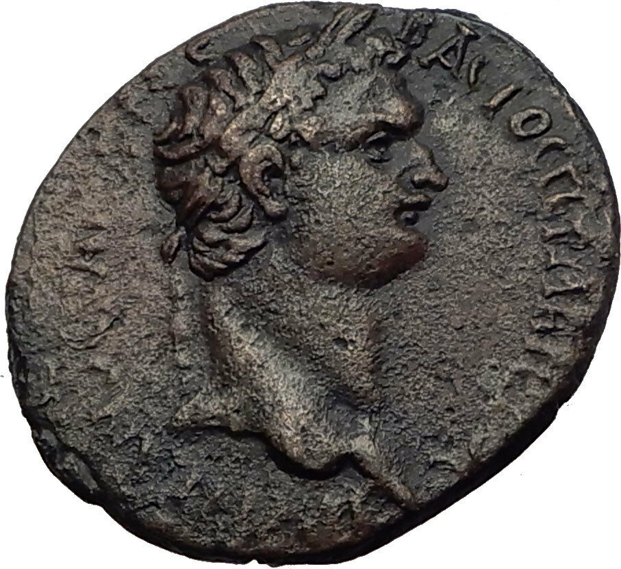 DOMITIAN 81AD CARIA. Antiochia ad Maeandrum. Ancient Roman Coin DIONYSUS i63288