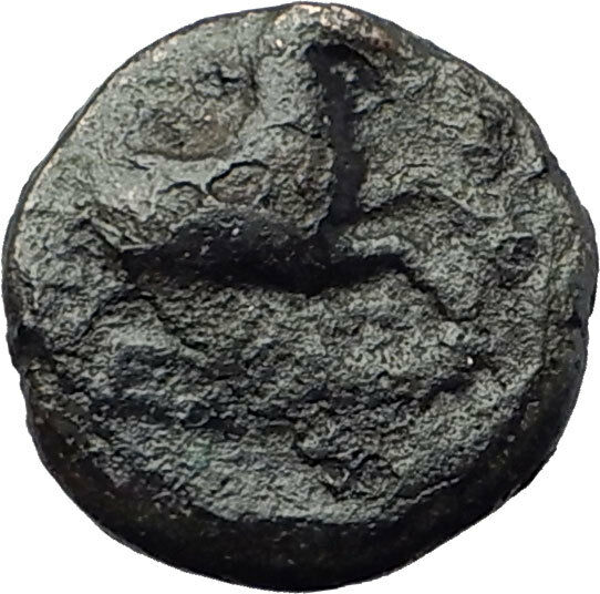 KYME in Aeolis 250BC Authentic Ancient Greek Coin AMAZON w HORSE & VASE i63239