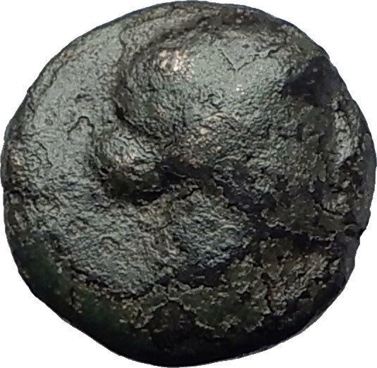 KYME in Aeolis 250BC Authentic Ancient Greek Coin AMAZON w HORSE & VASE i63239