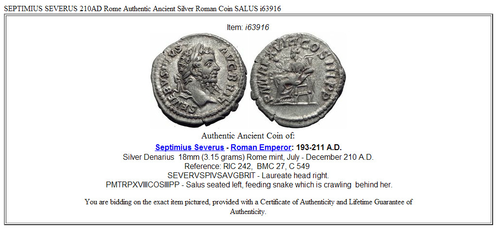 SEPTIMIUS SEVERUS 210AD Rome Authentic Ancient Silver Roman Coin SALUS i63916