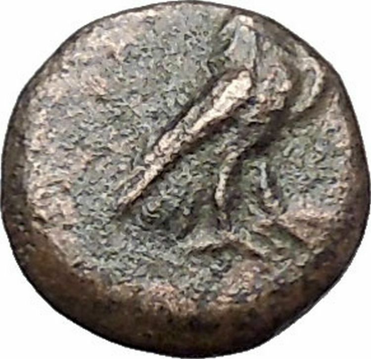 Kyme in Aeolis 350BC EAGLE & VASE on Authentic Ancient Greek Coin i48594