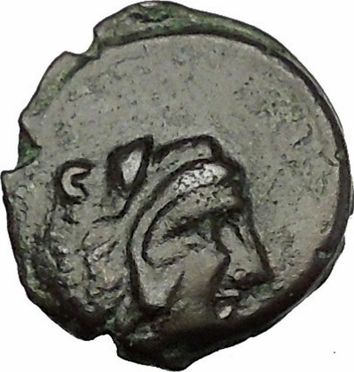 Thermai Himeraiai Sicily 407BC RARE R1 Ancient Greek Coin Hera Hercules i51587