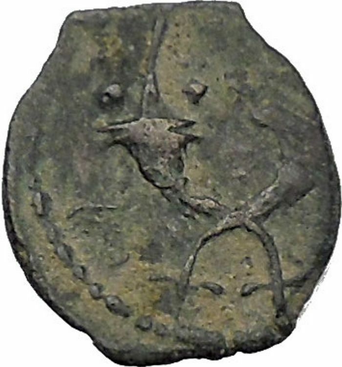 King Syllaeus of Arab Caravan Kingdom of Nabataea Ancient Greek Type Coin i50393