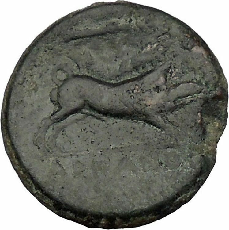 ARPI in APULIA 300BC Zeus Calydonian Boar Authentic Ancient Greek Coin i51600