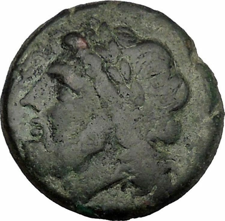 ARPI in APULIA 300BC Zeus Calydonian Boar Authentic Ancient Greek Coin i51600